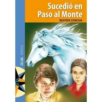 Sucedió en paso al Monte