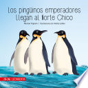 Los pingüinos emperadores llegan al Norte Chico (foto copia) cover