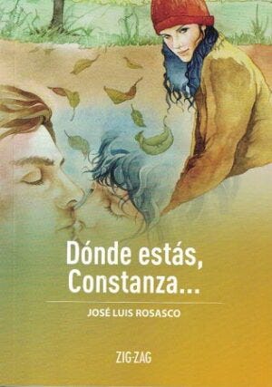 Dónde Estás, Constanza cover