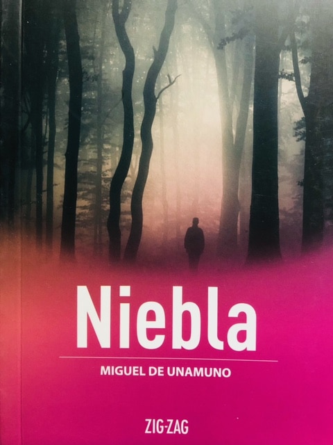 Niebla cover