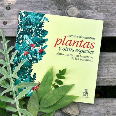 Secretos de nuetras plantas y otras especies cómo usarlas en beneficio de las personas cover