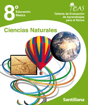 Talleres de Evaluación de Aprendizajes para el Simce,
