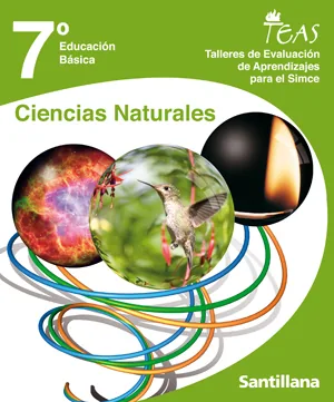 Talleres de Evaluación de Aprendizaje para el Simce