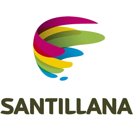 Test Santillana Lenguaje y comunicaión 5° Básico SIMCE cover
