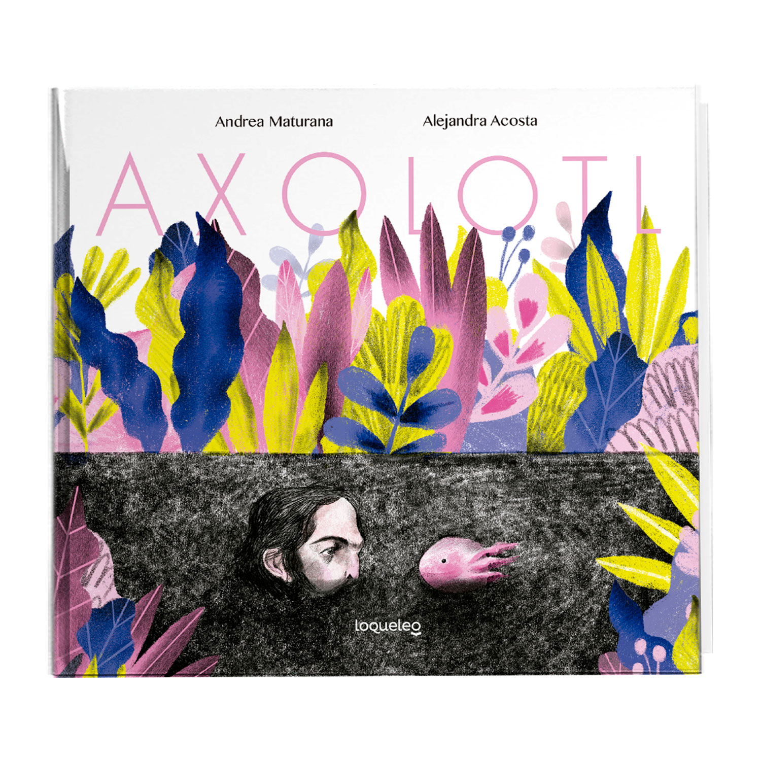 Axolotl cover