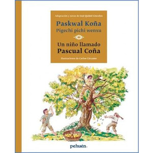 Paskwal Koña pigechi pichi wenxu