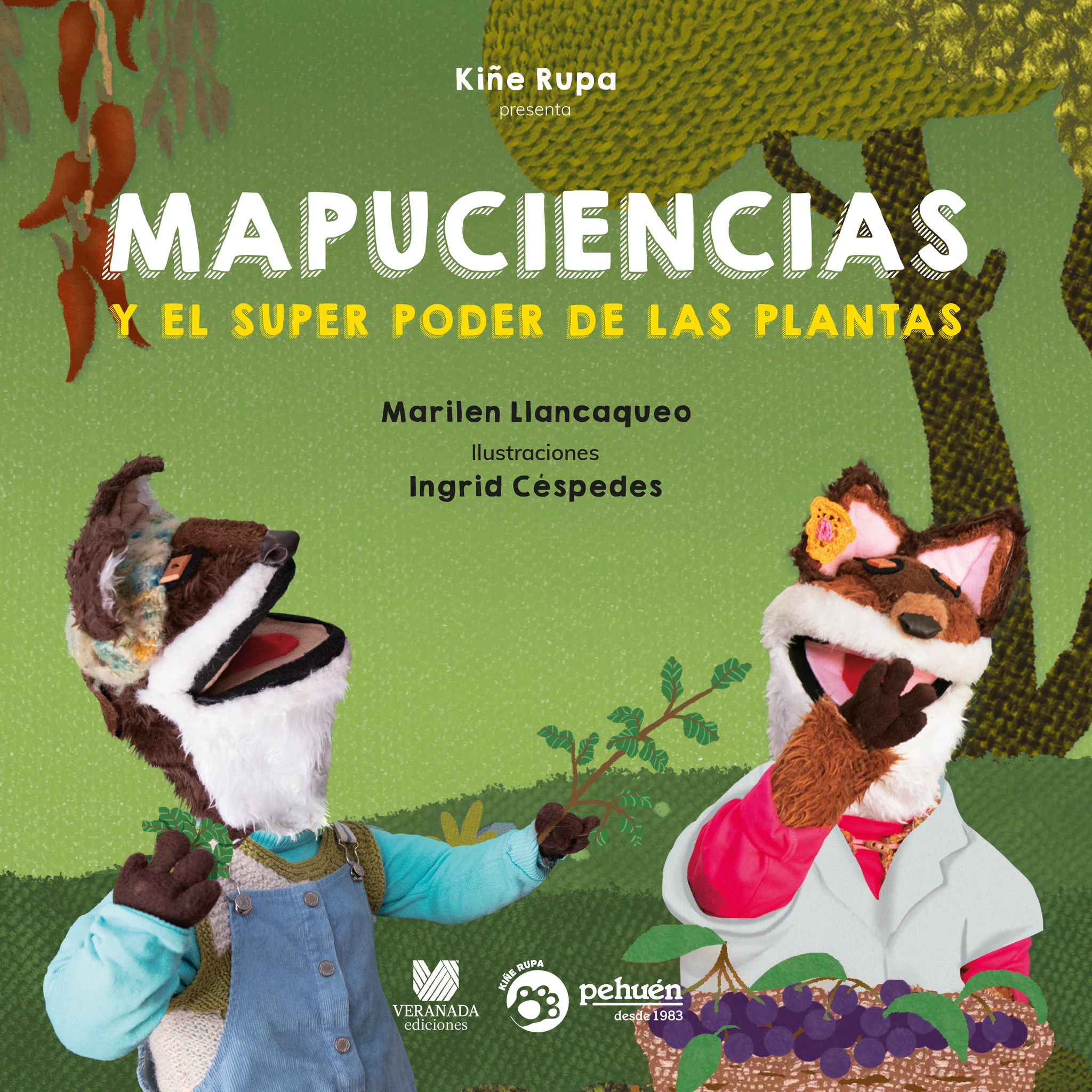 Mapuciencias cover