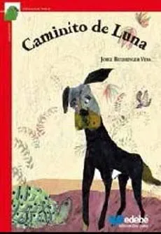Caminito de luna cover