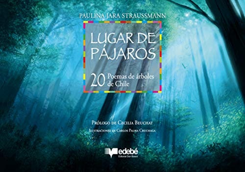 Lugar de pájaros cover