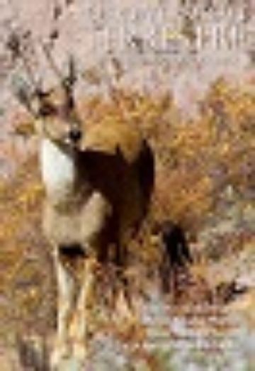 Biodiversidad terrestre