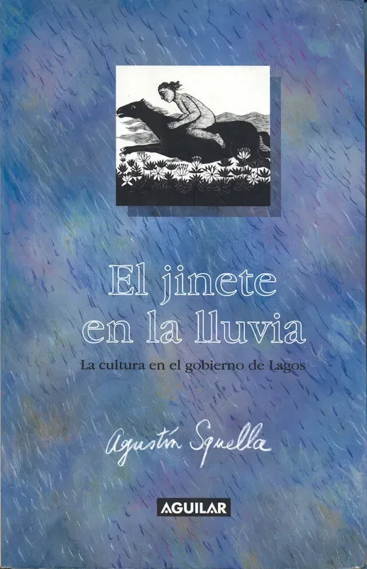 Las vacaciones del pequeño Nicolás cover