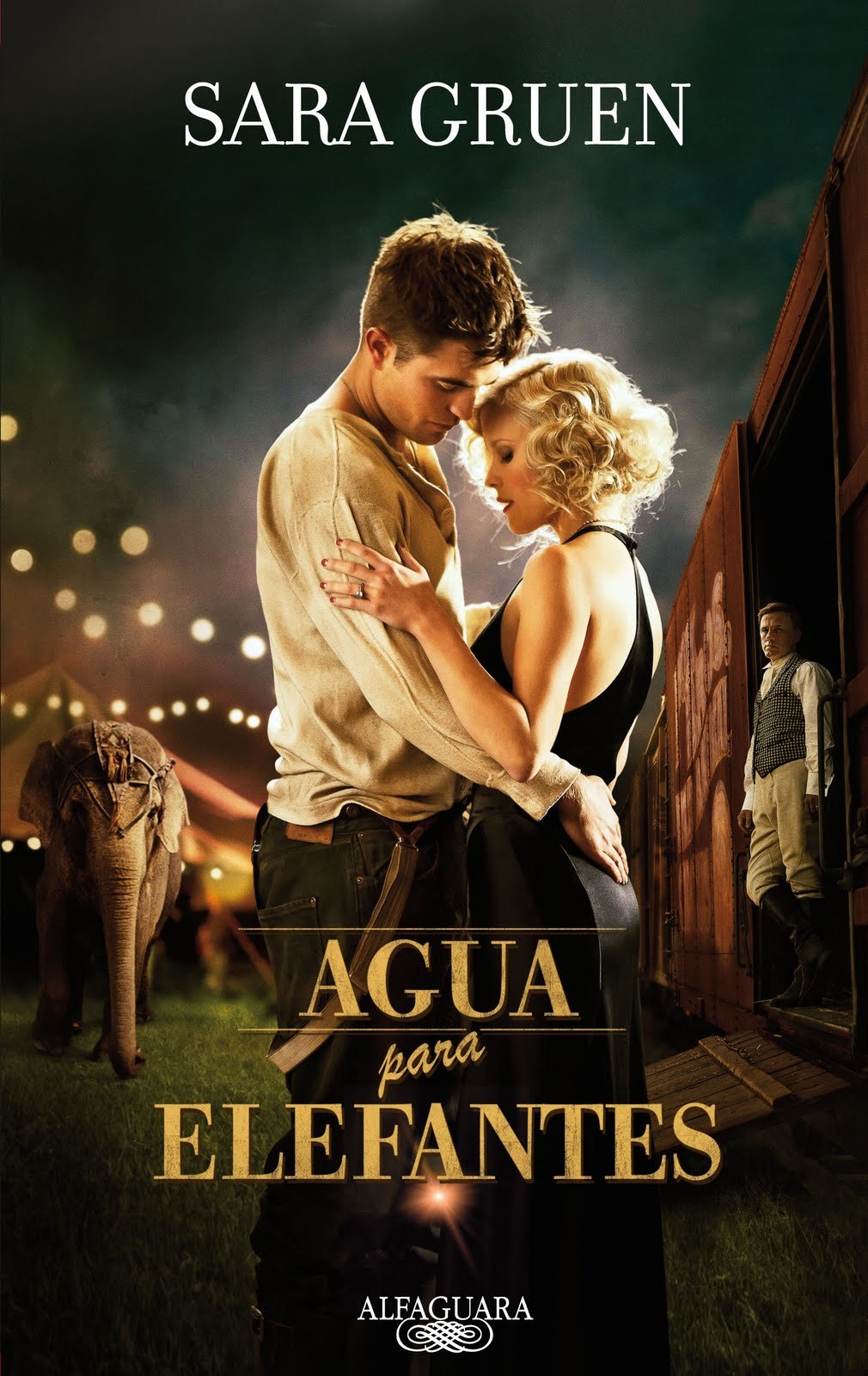 Agua para elefantes cover