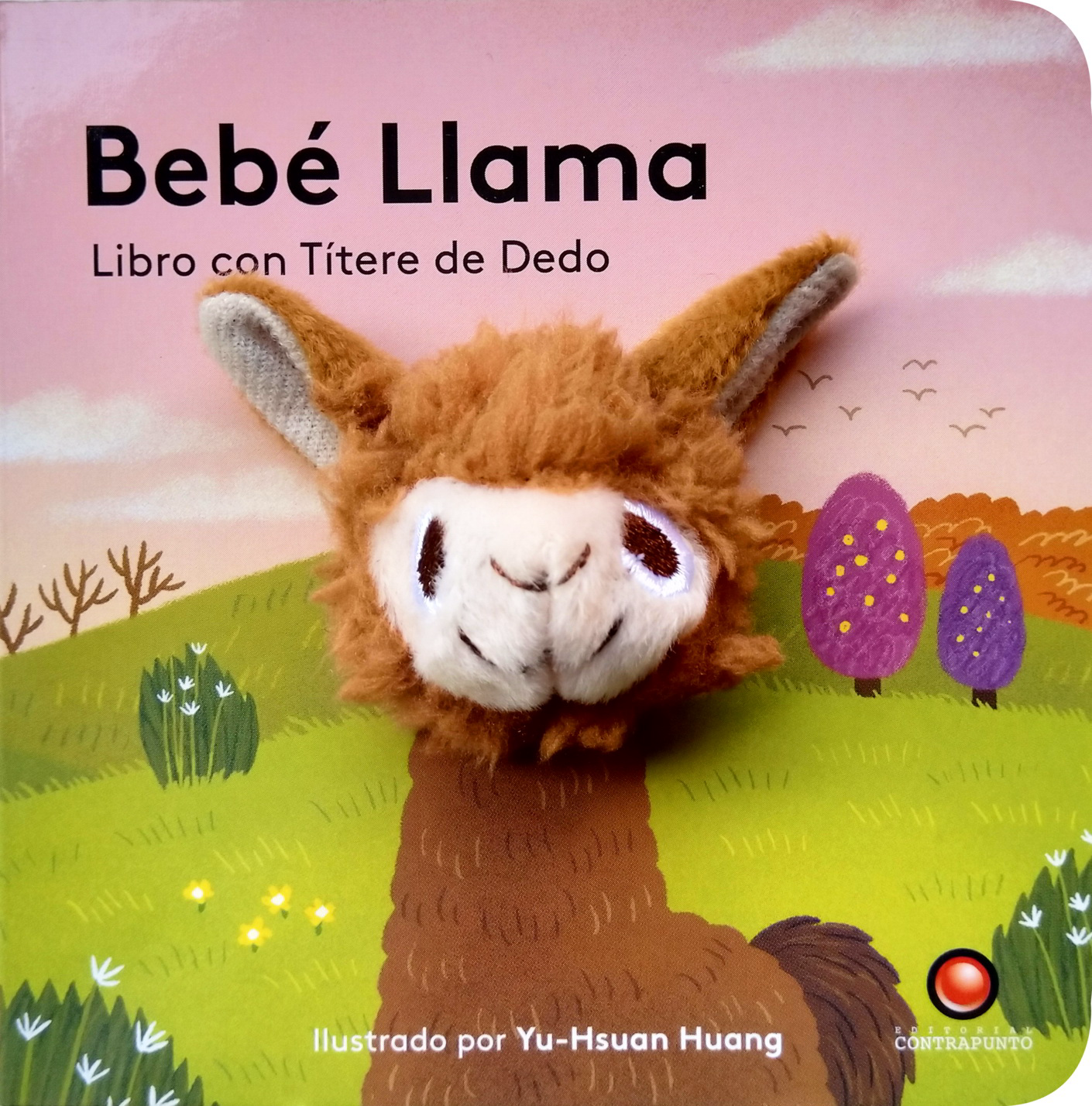 Bebé Llama cover
