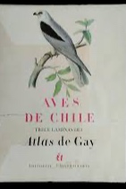 Guía de identificación de aves de ambientes acuáticos cover