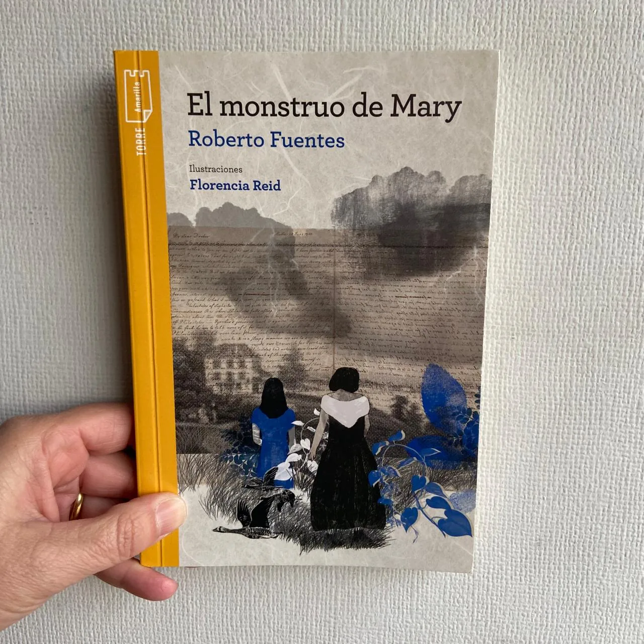 El monstruo de Mary cover