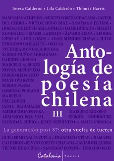 Antología de poesía chilena III La generación post 87:otra vuelta de tuerca cover
