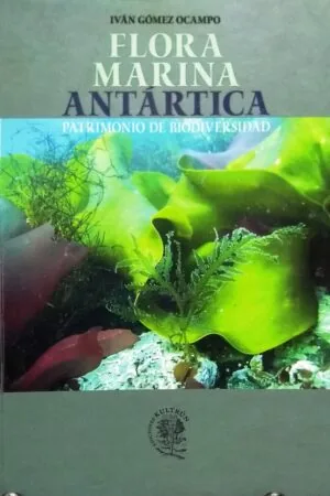 Flora marina antártica