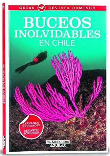 Buceos inolvidables en Chile cover