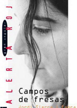 Campos de fresas. cover