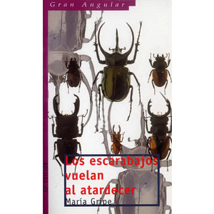 Los escarabajos vuelan al atardecer