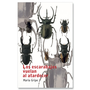 Los escarabajos vuelan al atardecer