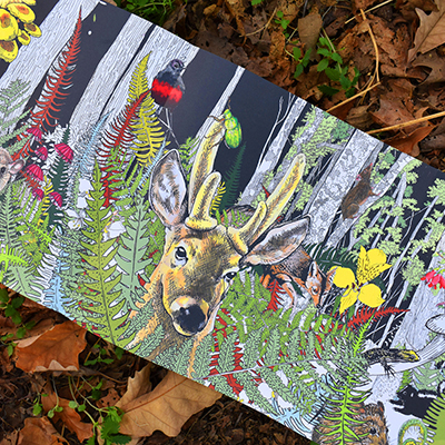 Mirando el bosque nativo