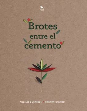 Brotes entre el cemento cover
