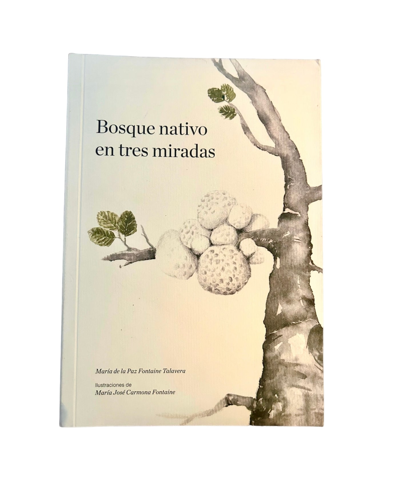 Portada de Bosque nativo en tres miradas, de María José Carmona Fontaine, María de la Paz Fontaine Talavera