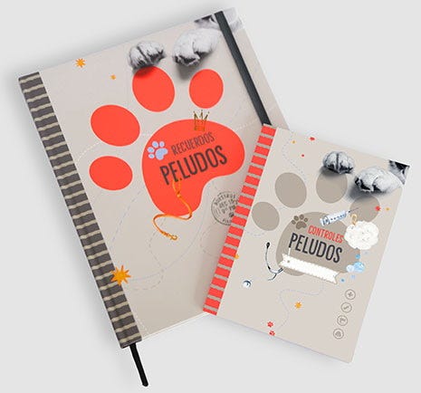 Del puente a La cornellana cover