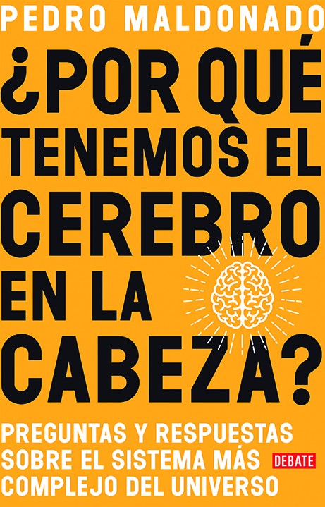 ¿Por qué tenemos el cerebro en la cabeza? cover