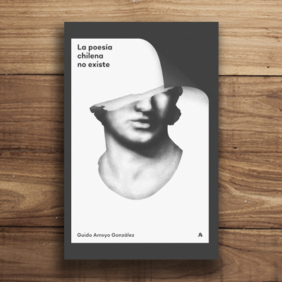 La poesía chilena no existe cover