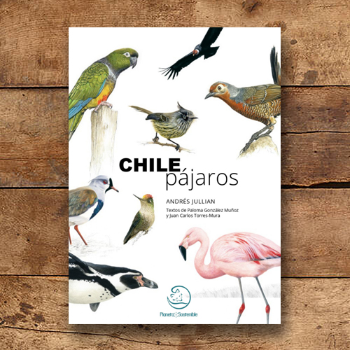 Chile pájaros cover