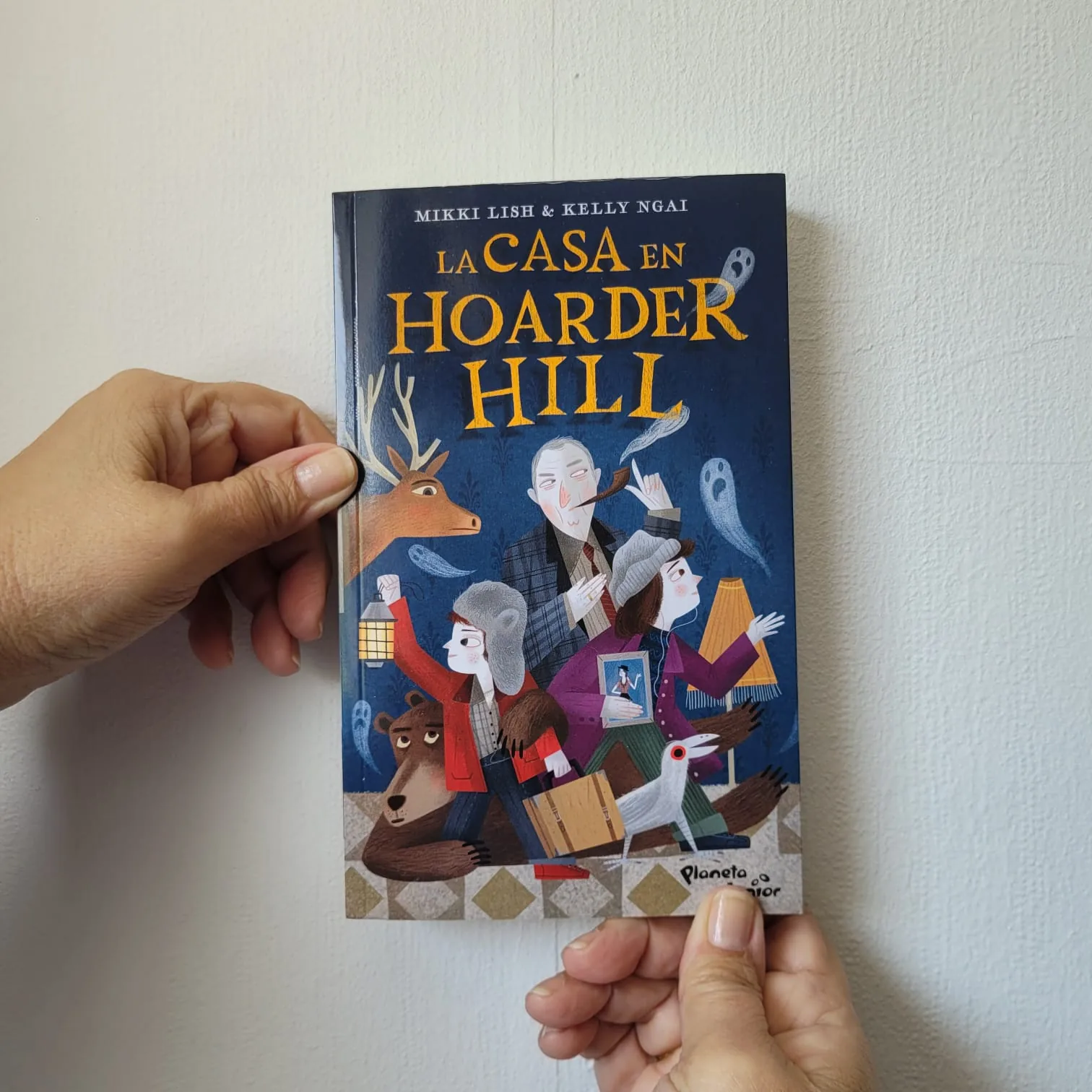 La casa en Hoarder Hill