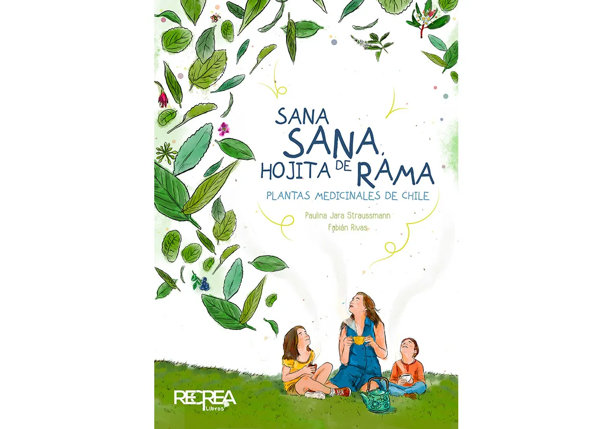 Sana, sana, hojita de rama cover