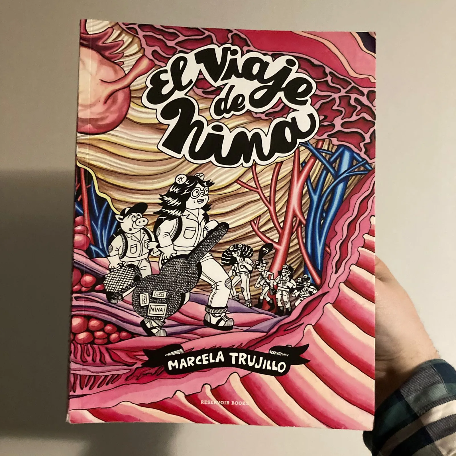 El viaje de Nina cover