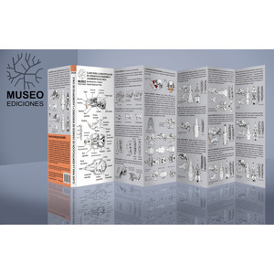 Clave para la identificación de cráneos de roedores y lagomorfos de Chile