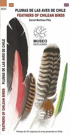 Plumas de las aves de Chile/Feathers of Chilean Birds