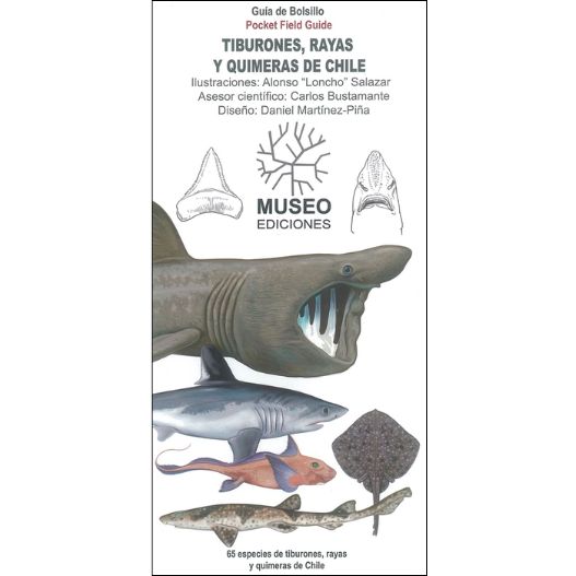 Tiburones, rayas y quimeras de Chile cover