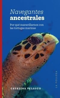 Navegantes ancestrales por qué maravillarnos con las tortugas marinas cover