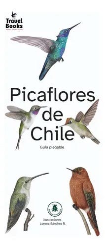 Picaflores de Chile: