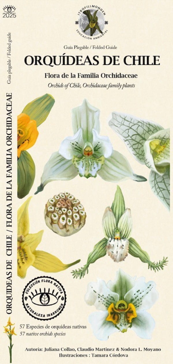 Orquídeas de Chile : Flora de la familia Orchidaceae cover