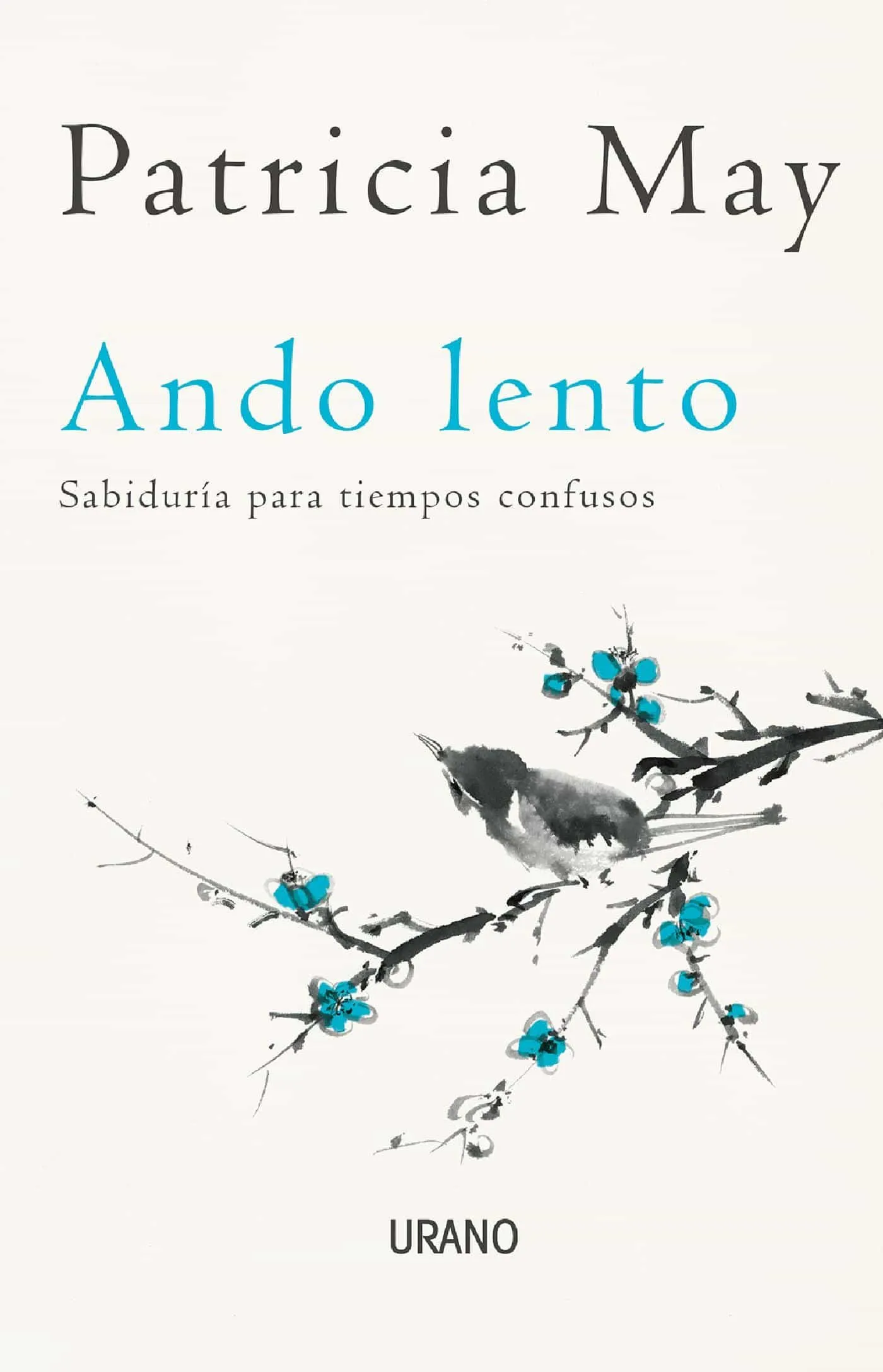 Ando lento cover