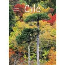 Cile cover