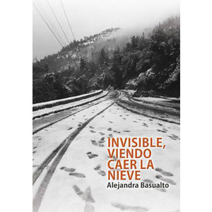 Invisible viendo caer la nieve