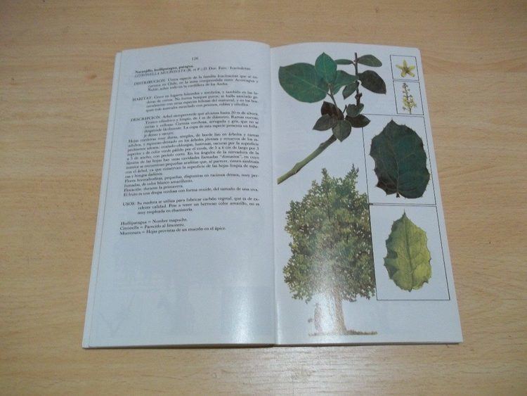 Enciclopedia de los bosques chilenos cover