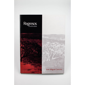 Regresos al modo de Gabriela cover