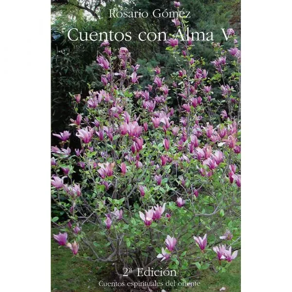 Cuentos con alma V