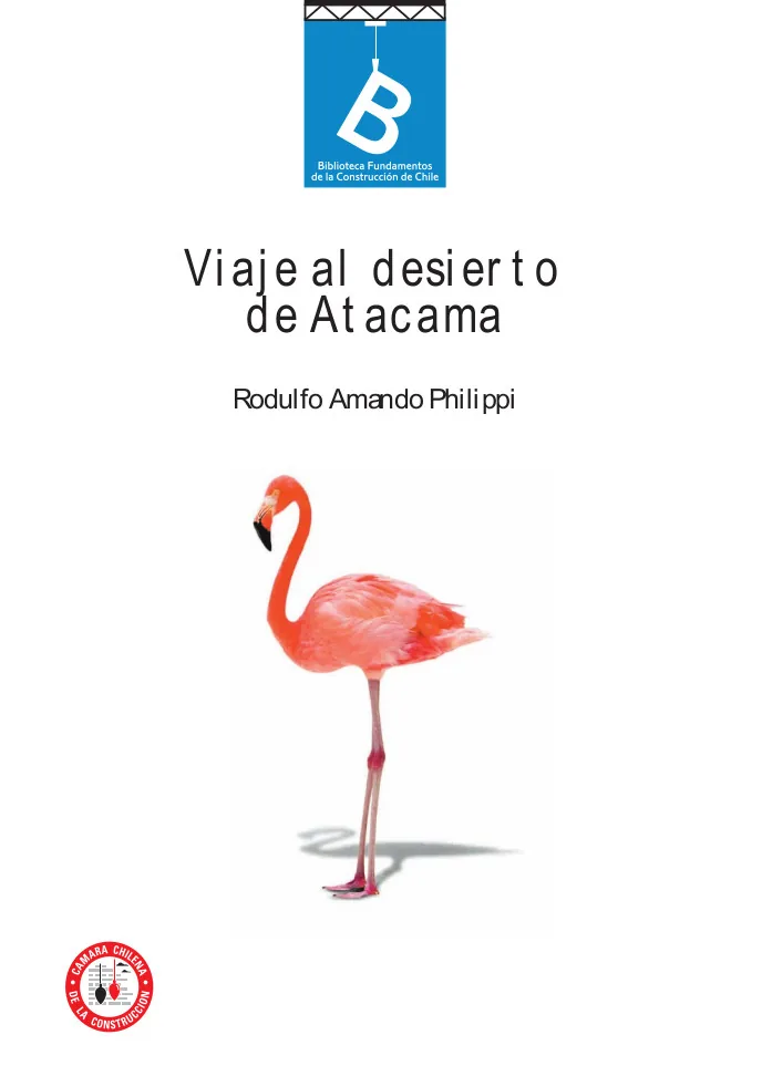 Viaje al desierto de Atacama cover