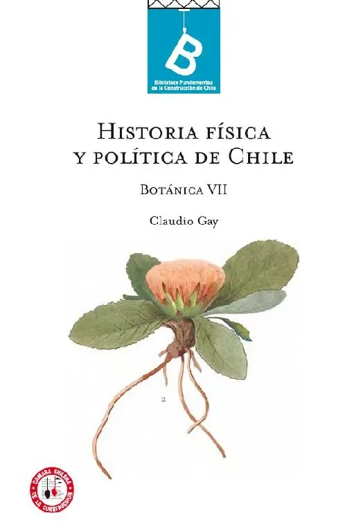 Historia Física y Política de Chile