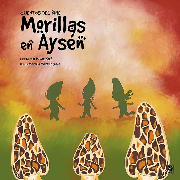Morillas en aysen